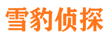 内江出轨调查